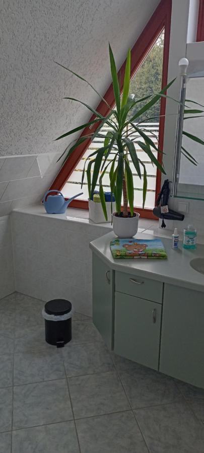 ドレスデン Winzerhaus Rissweg 15ヴィラ エクステリア 写真